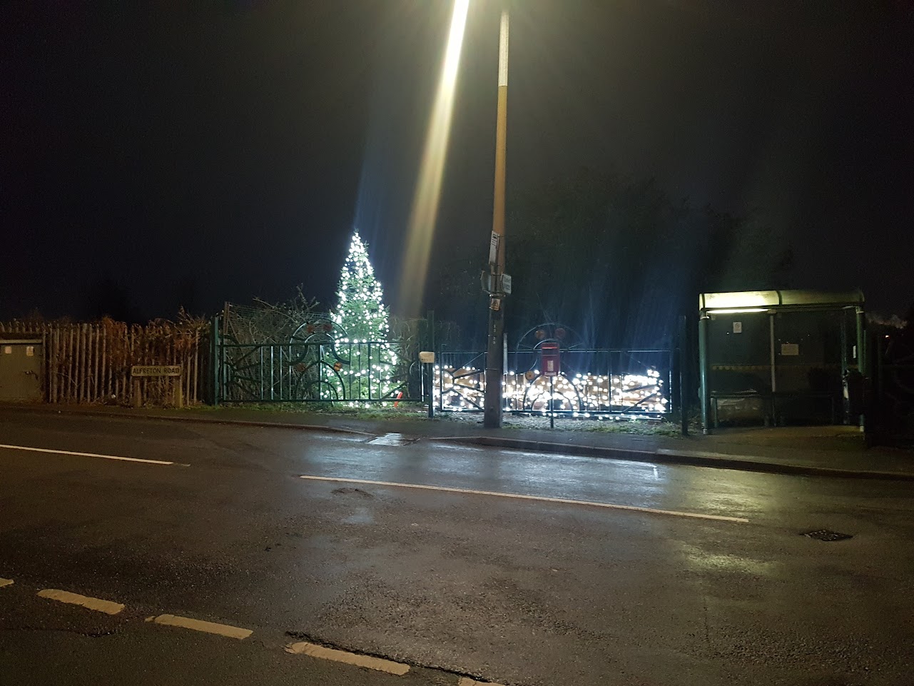 Christmas Lights Installation